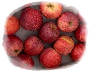 Apfelaktion-Äpfel